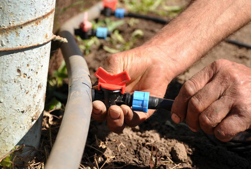 Arranging a do-it-yourself drip irrigation system will significantly save