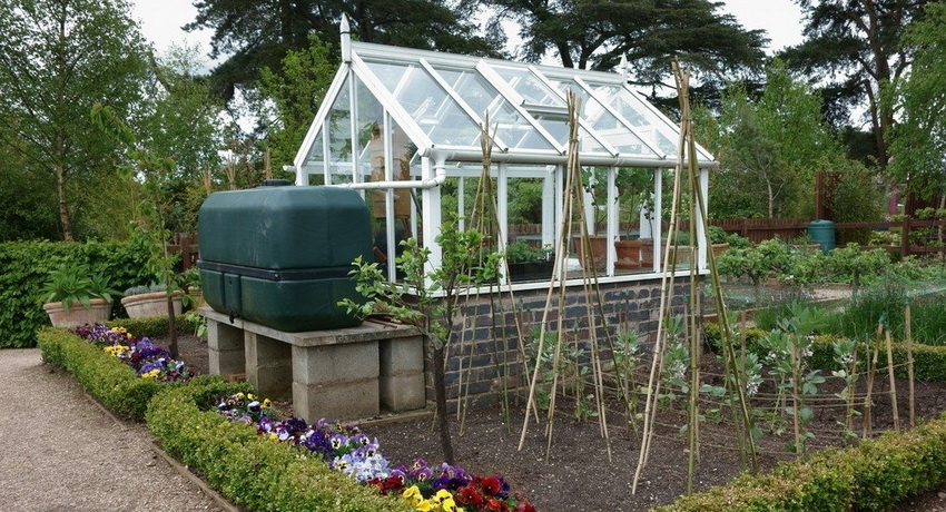 If you install a container of a sufficiently large volume, you can water not only the greenhouse, but also other beds from it.