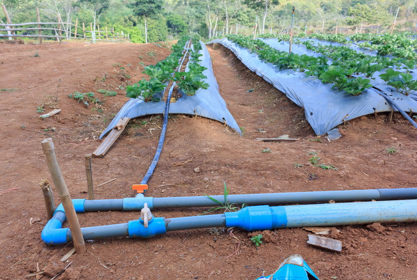 Since pipes for the irrigation system are usually installed for more than one season, you should carefully select products and pay attention to quality