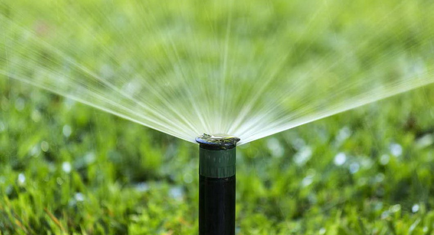 Watering system in the country: a variety of options for irrigating plants