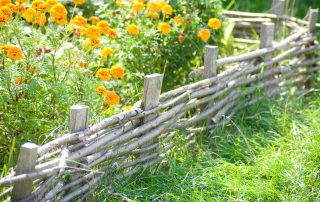 Dekorativna ograda za ljetne vikendice: kreativni dizajn cvjetnjaka i terena