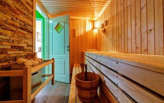 Bath and sauna door: choosing beautiful and moisture resistant models