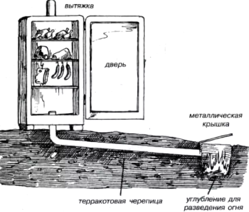 Crtež pušnice iz hladnjaka