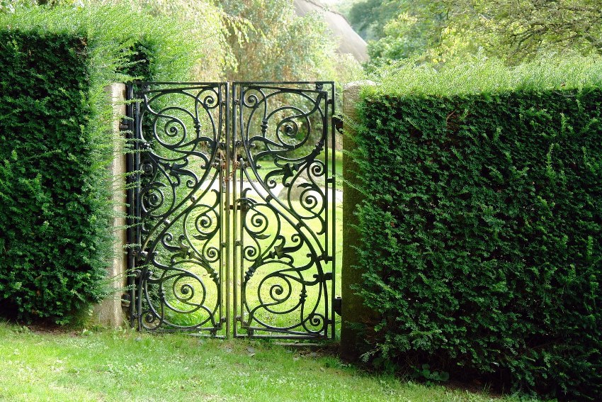 You can decorate the gate using original forged elements