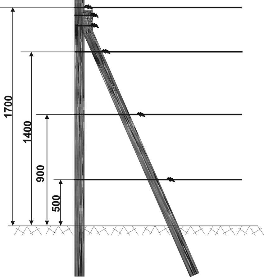 Diagram of the construction of a single-plane trellis for grapes