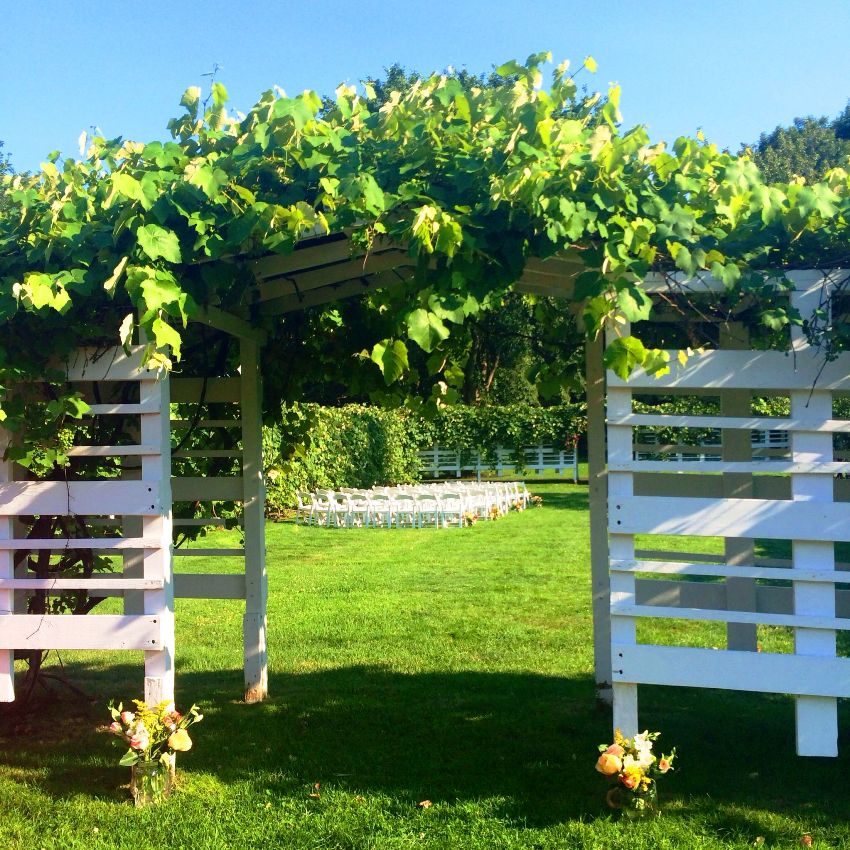 Decorative trellis helps to create shade where it is needed, and simply decorates the site