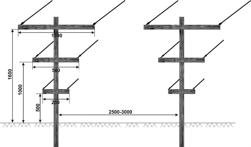 Drawing of a two-plane trellis for grapes