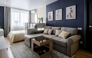 Living room and bedroom in one room: ideas for decorating a comfortable space