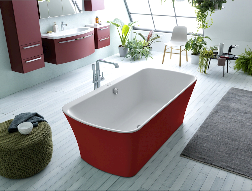 Various materials are used for the manufacture of bathtubs, therefore this group is represented by the widest species diversity.