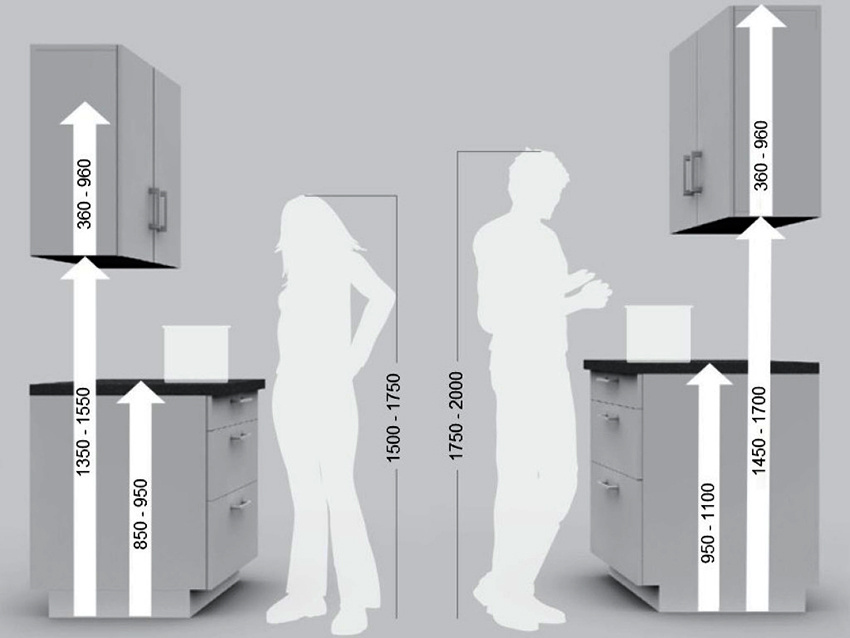 When calculating the size of the kitchen unit, it is necessary to take into account the growth of all residents