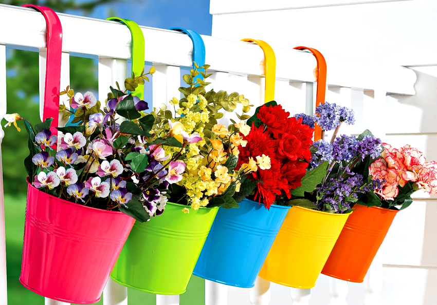 Selv om blomstene er i forskjellige potter, kan du lage en vakker blomsteroppsats ved hjelp av planter.