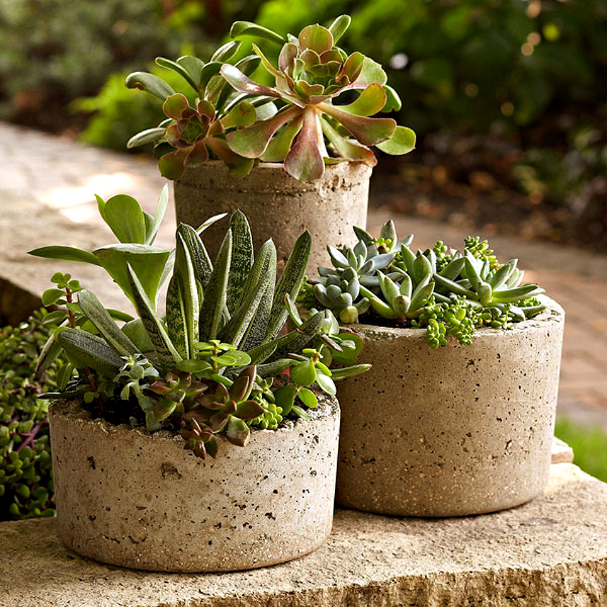 A spectacular floor pot can be made from cement mortar