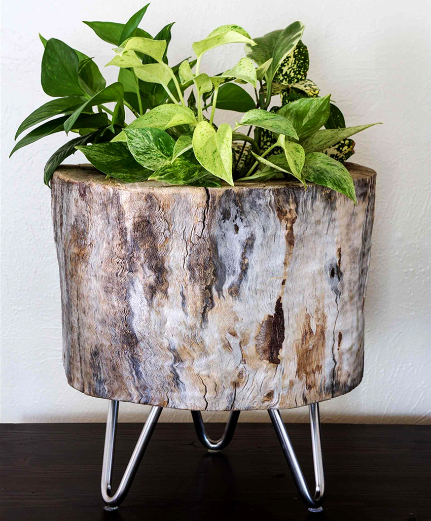 A large log pot will perfectly fit into the interior with eco design