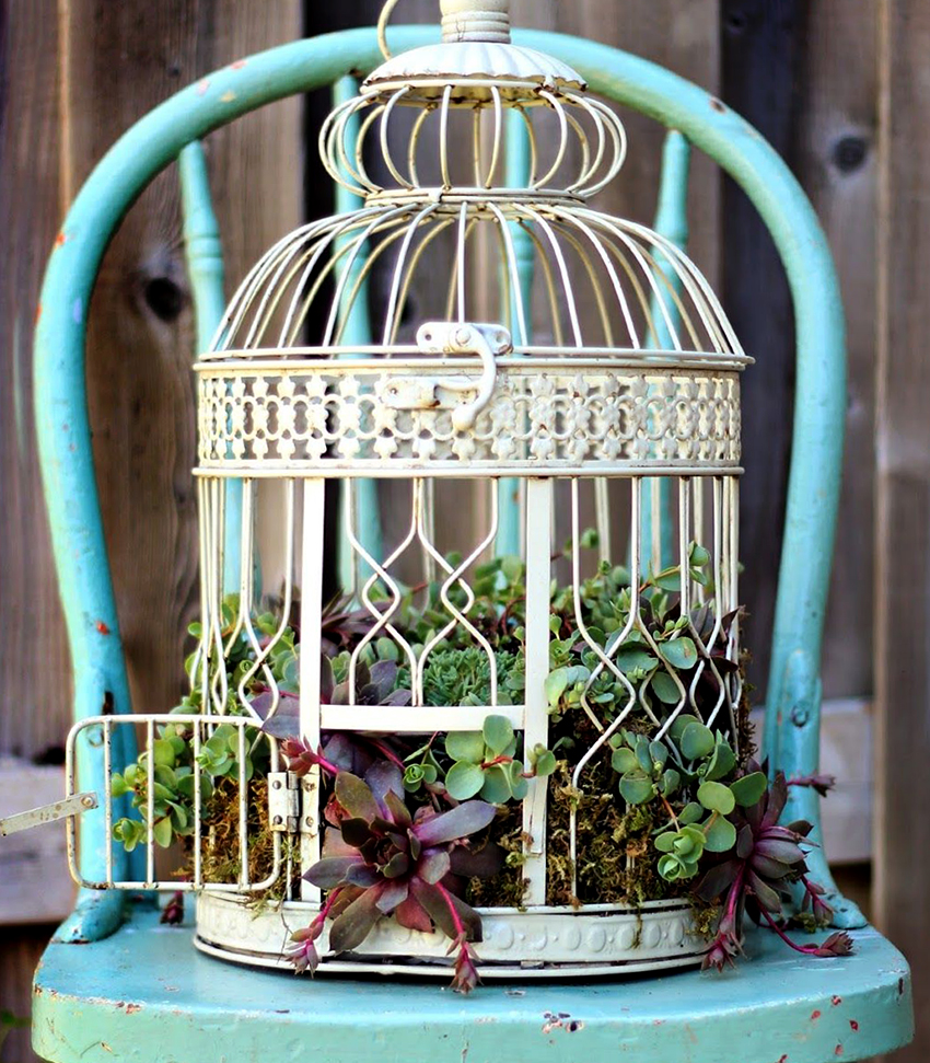 In an old unnecessary cage, you can create a gorgeous floral arrangement