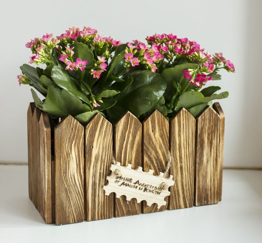 Wooden planters can add a natural touch to any interior