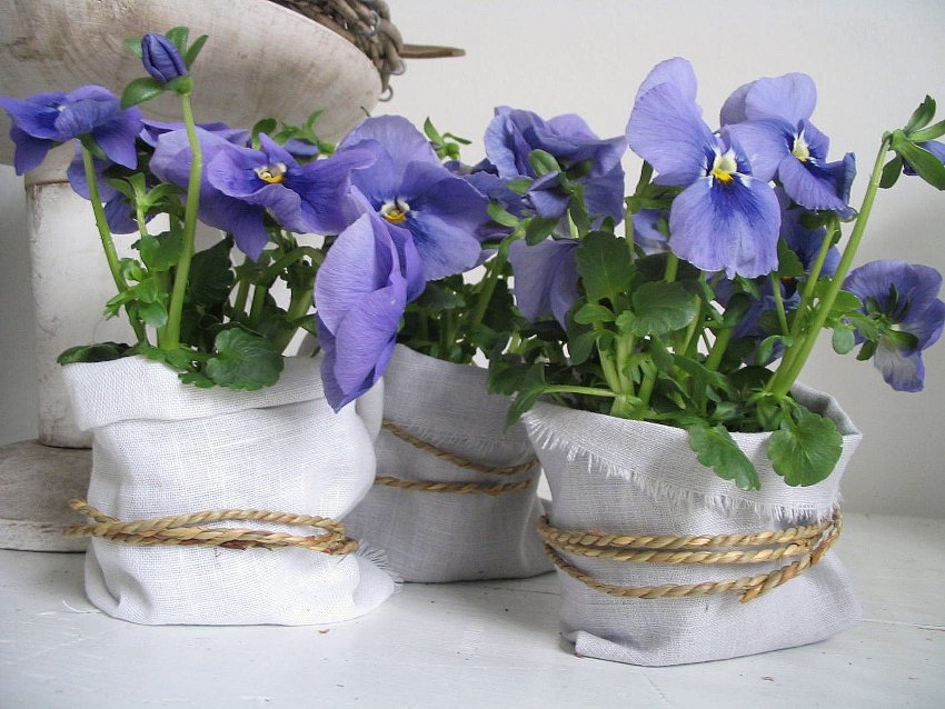 An ordinary flower pot can be draped with any cloth