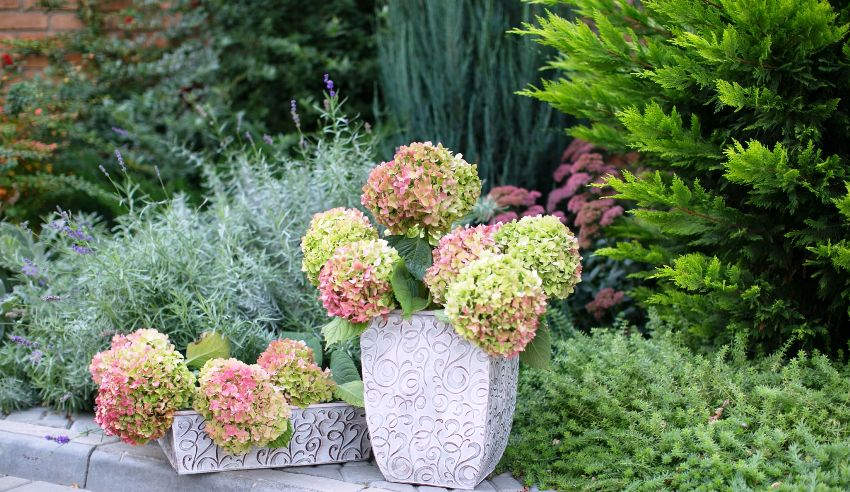 Now trendy home or garden decorations have become geometric plaster pots
