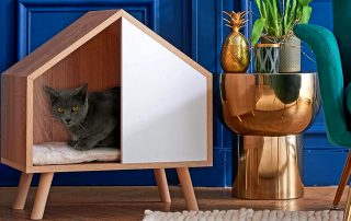 Uradi sam kućicu za mačke: načini kako stvoriti ugodno mjesto za životinju