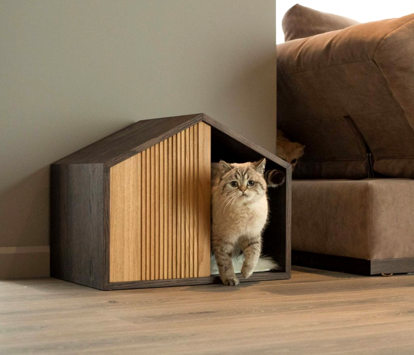 Kuće za mačke imaju razne oblike i veličine.