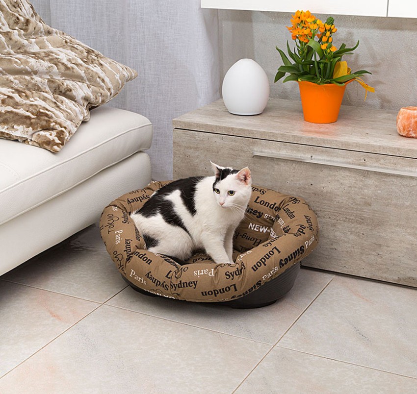 The cat will not sleep in the bed if she does not like the material or its hardness