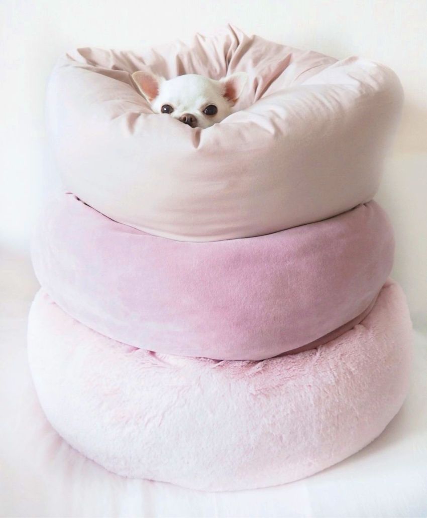 Per fer un llit per a un gos, sovint s’utilitzen articles de decoració o altres materials diversos.