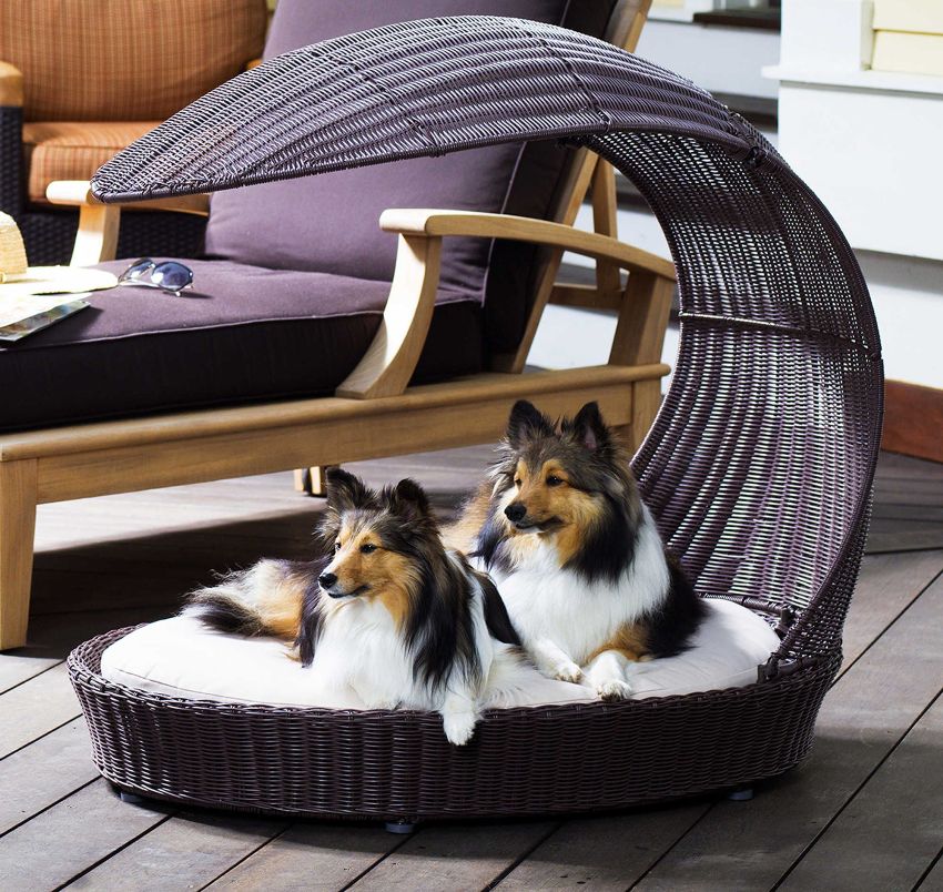 A dog bed can be purchased at a pet store or made with your own hands