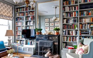 Home library bookcases: stylish and practical options