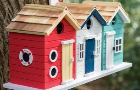 Birdhouse: dimensões, desenho e recomendações para a criação de caixas de pássaros