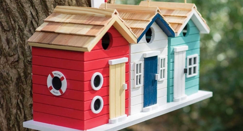 Birdhouse: dimensi, gambar dan cadangan untuk membuat perumahan burung