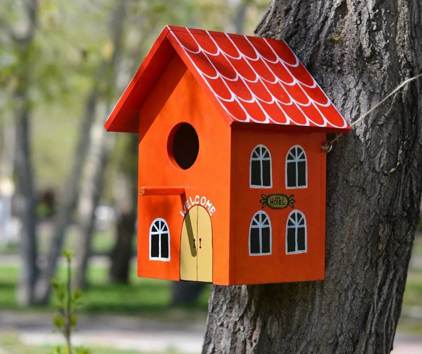 O casă de păsări cu un design luminos și amuzant