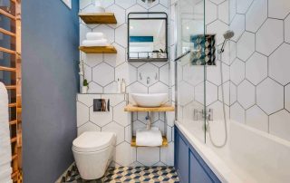 Rafturi pentru baie: tipuri, materiale și stil
